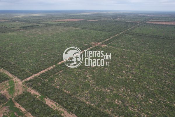 BO 036 - 4 940 Hectáreas - zona Pozo Hondo - Imagen 6