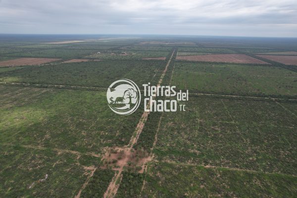 BO 036 - 4 940 Hectáreas - zona Pozo Hondo - Imagen 7